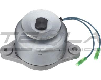 Генератор TT12971