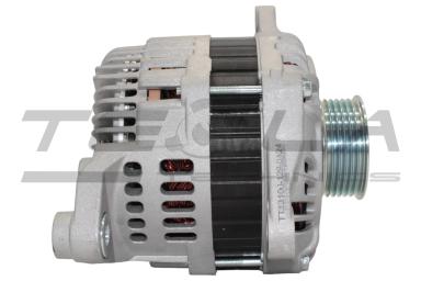 Генератор TT13100